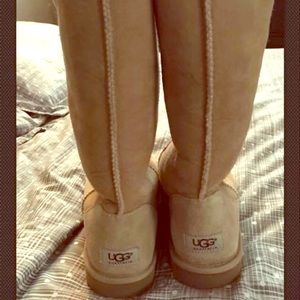 UGG Woman’s Classic Tall Light Brown Boots